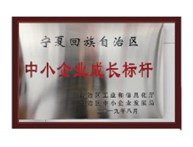 中小企業成長標桿
